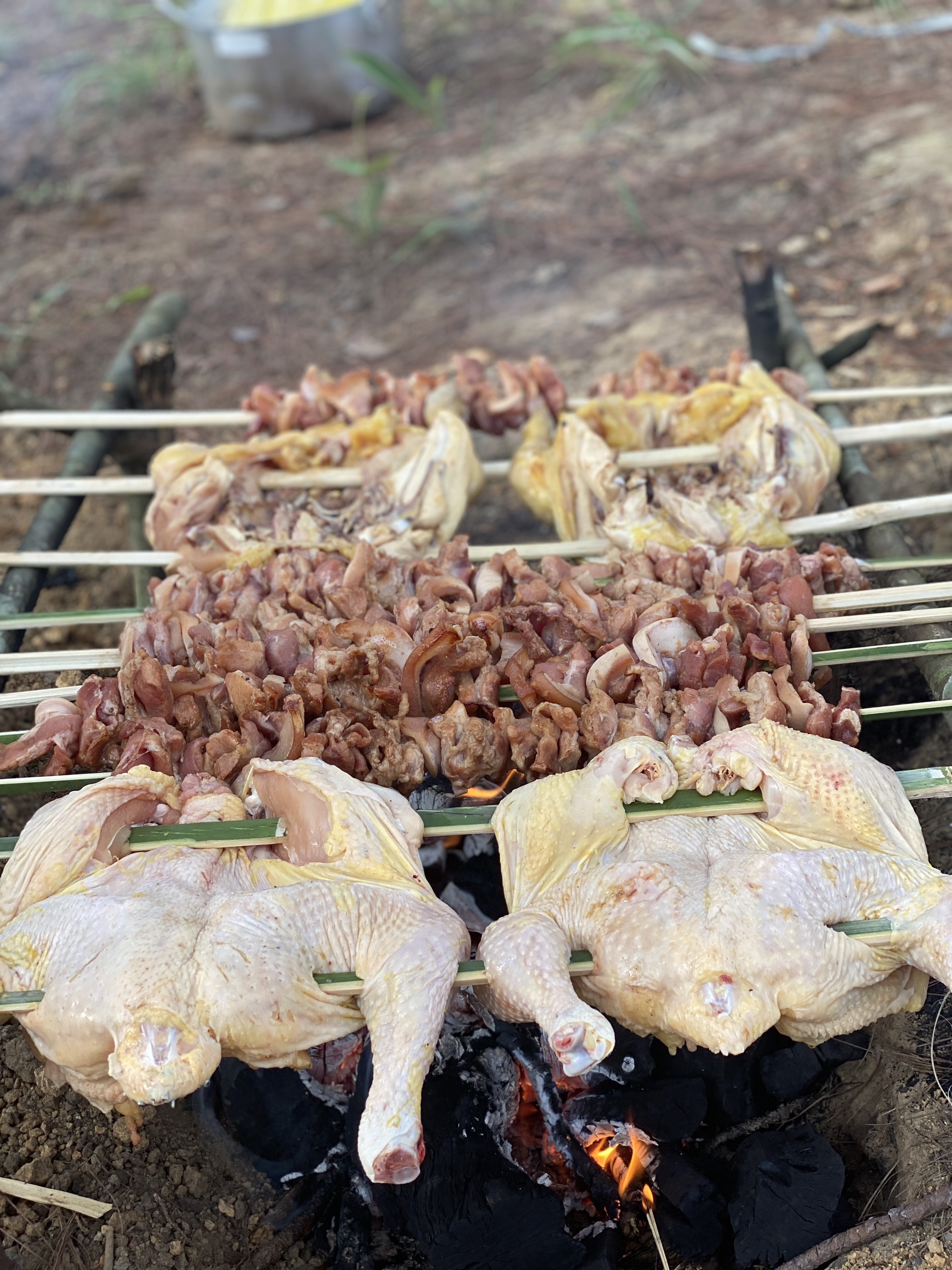 tanang (13) 11