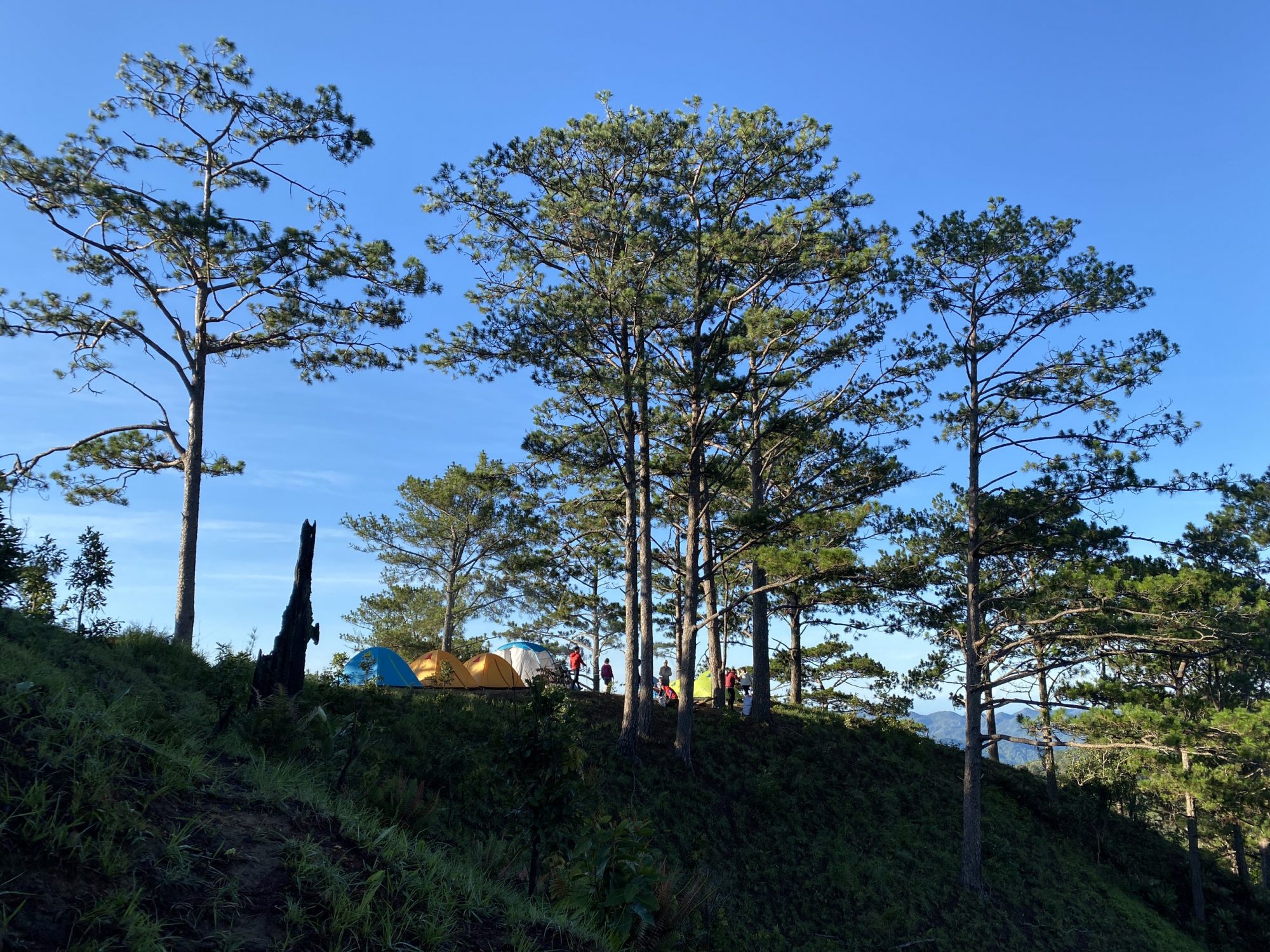 tanang (2) 11