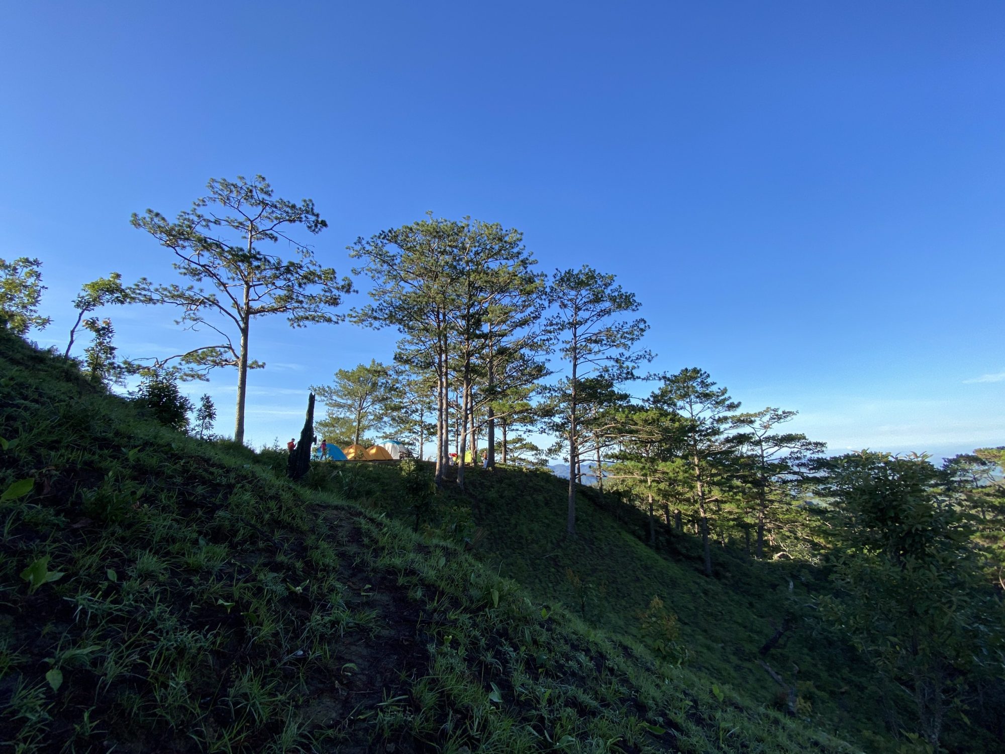 tanang (57) 11