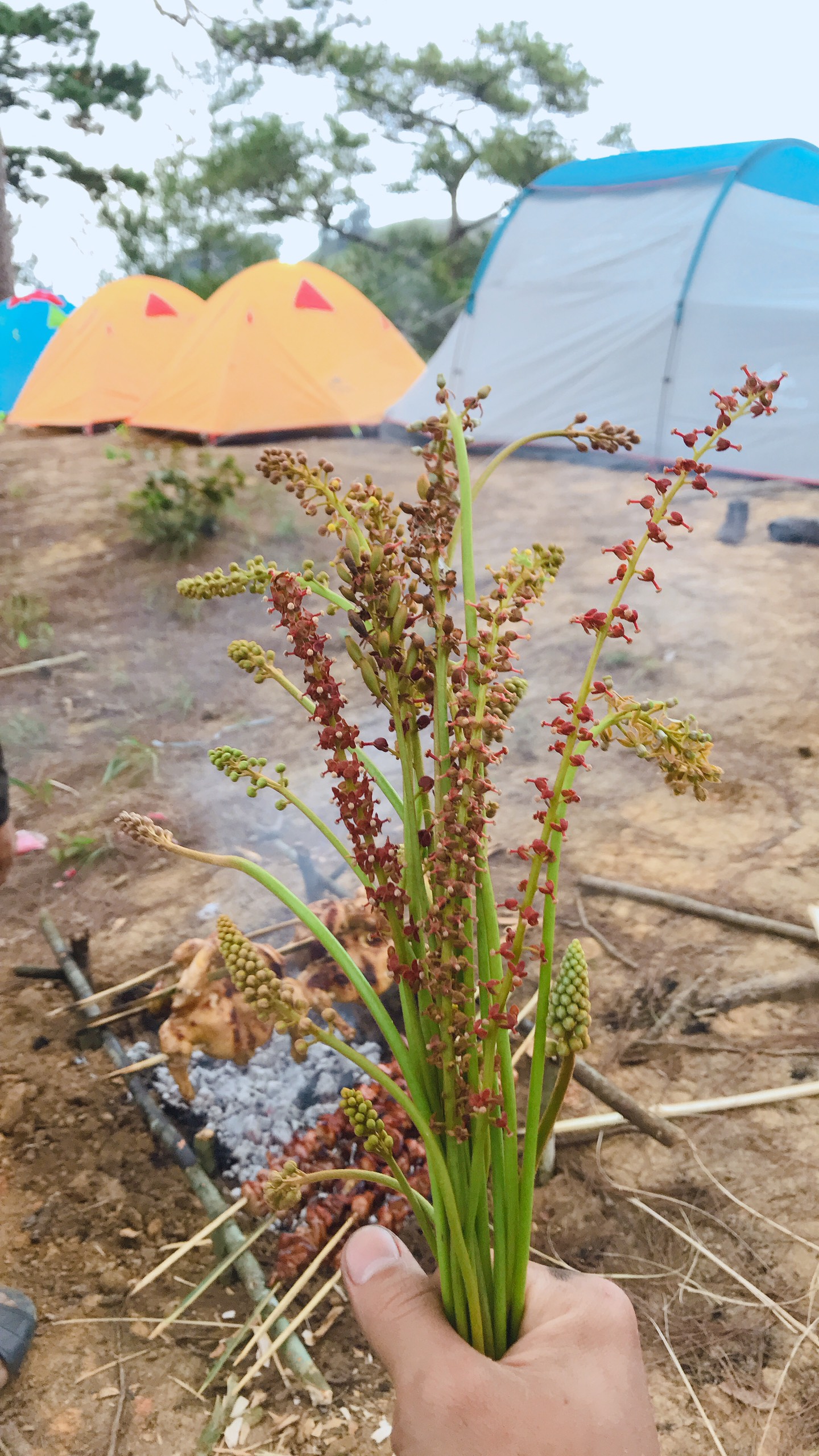 tanang (9) 11