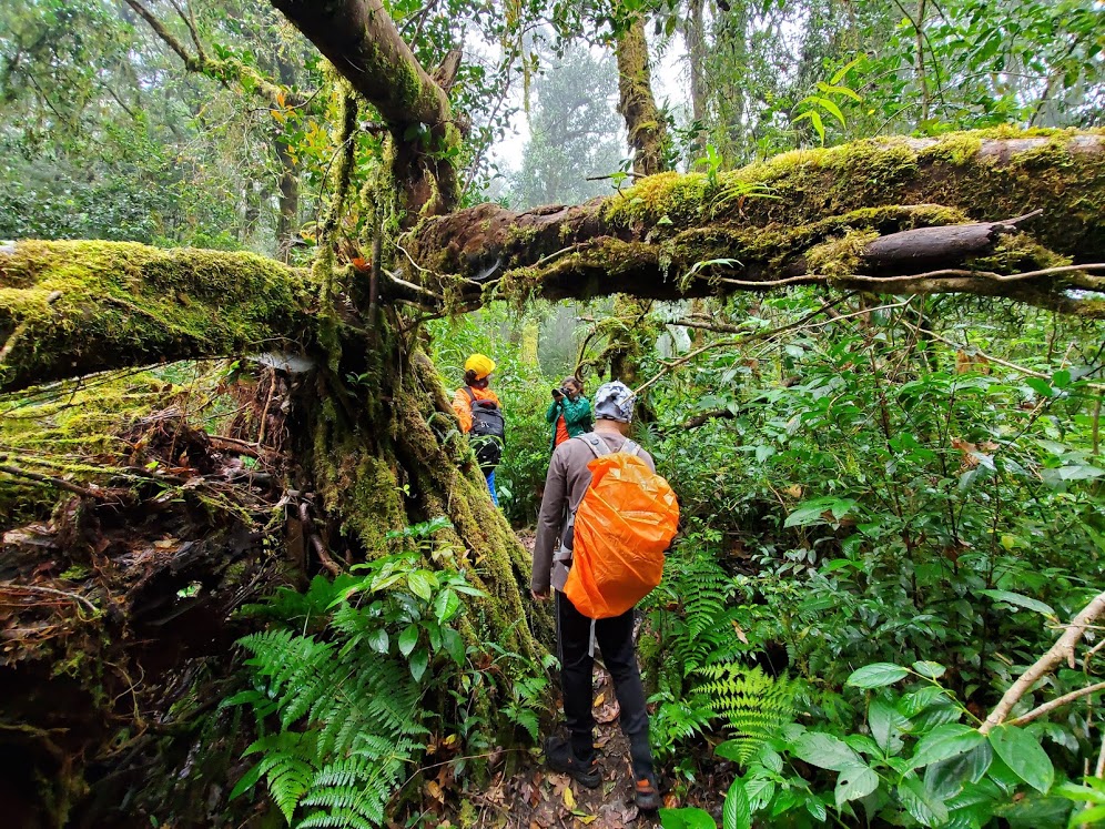 bidoup-nui-ba-tour-trekking-da-lat-kho-quen-danh-cho-cac-trekker-1 11
