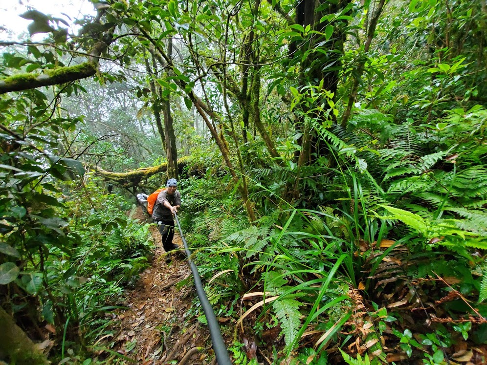 bidoup-nui-ba-tour-trekking-da-lat-kho-quen-danh-cho-cac-trekker-2 11